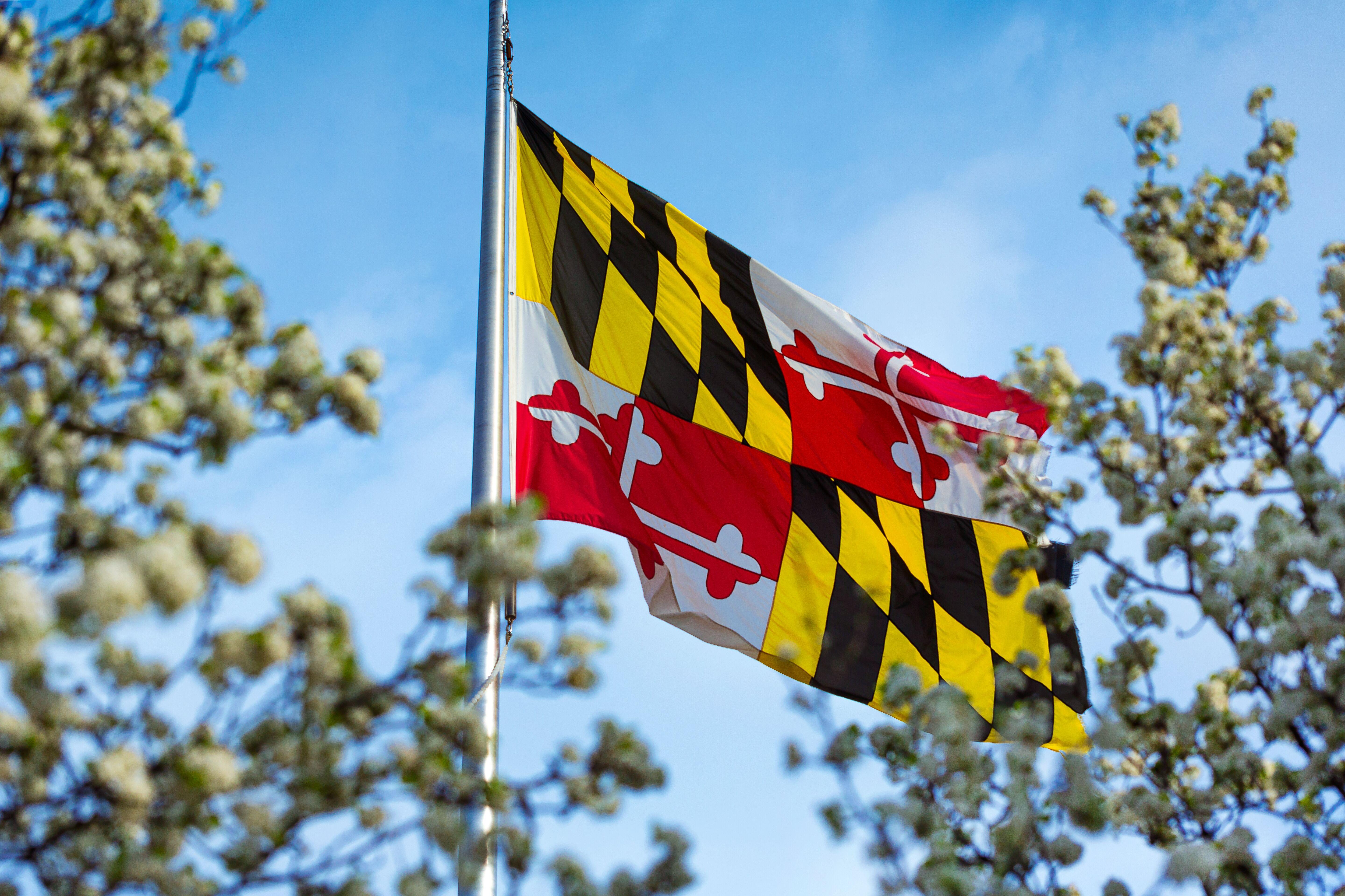 Maryland Flag