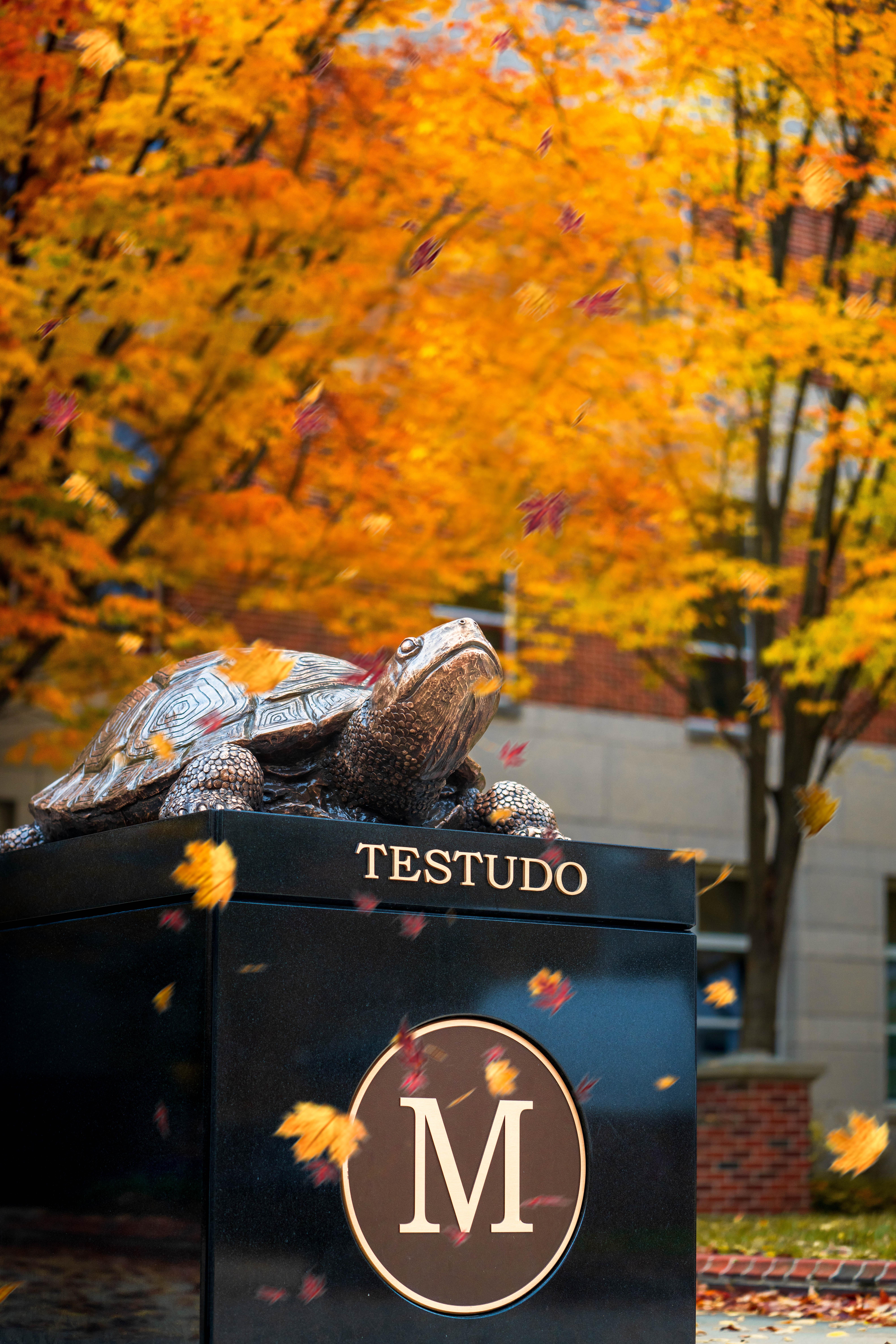 Portrait of Sherrita Rose