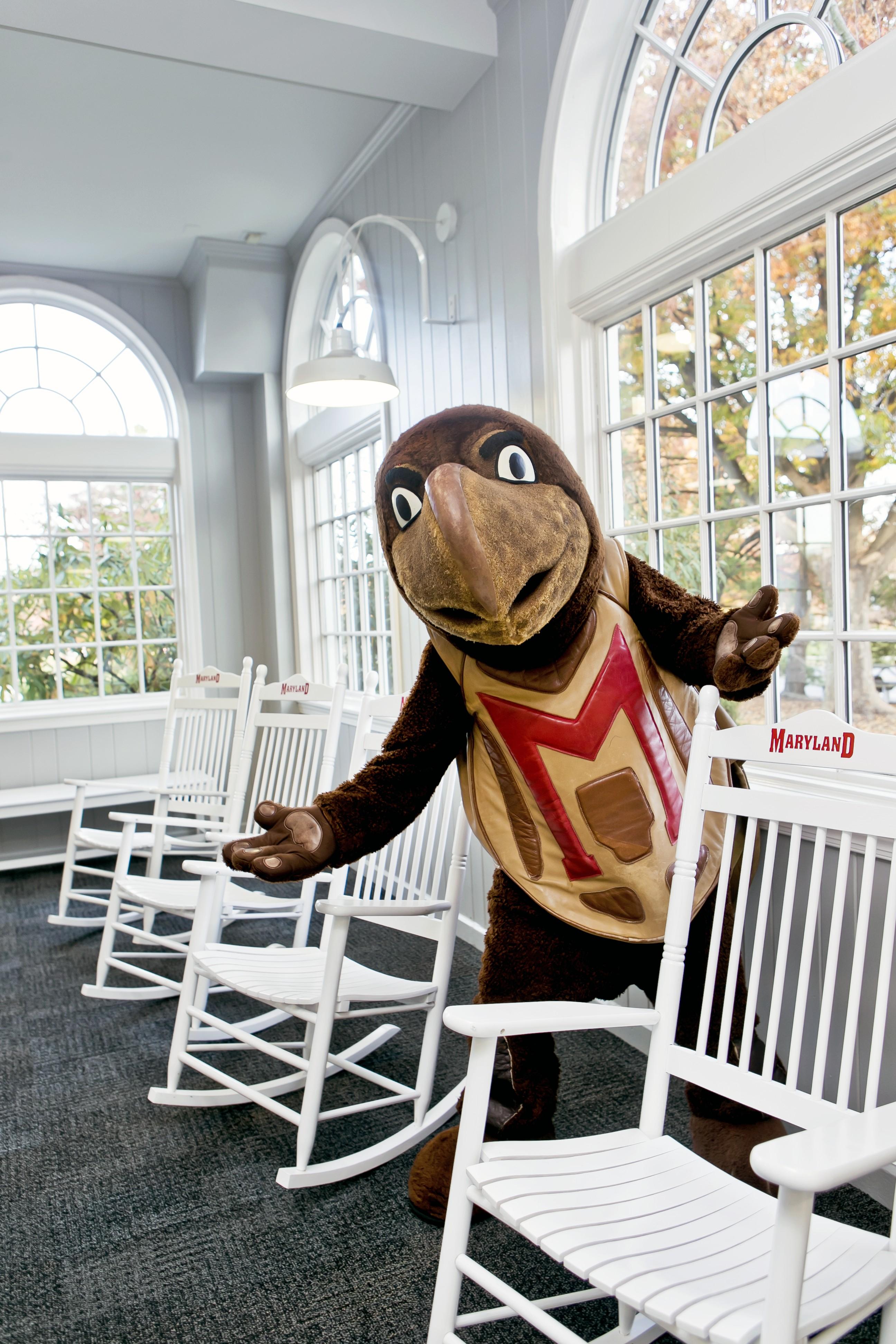 Portrait of Jennifer Bradley